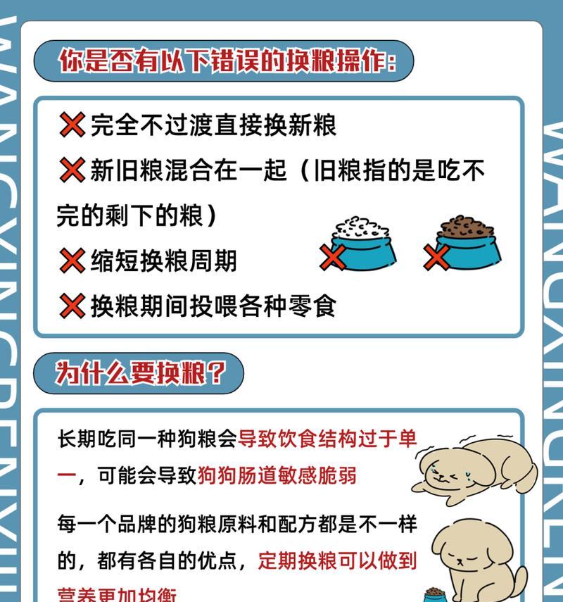 狗狗到新家后如何换粮？新家换粮的正确方法是什么？