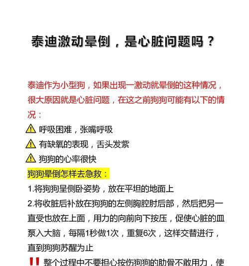 泰迪心脏疾病治疗费用大概多少？