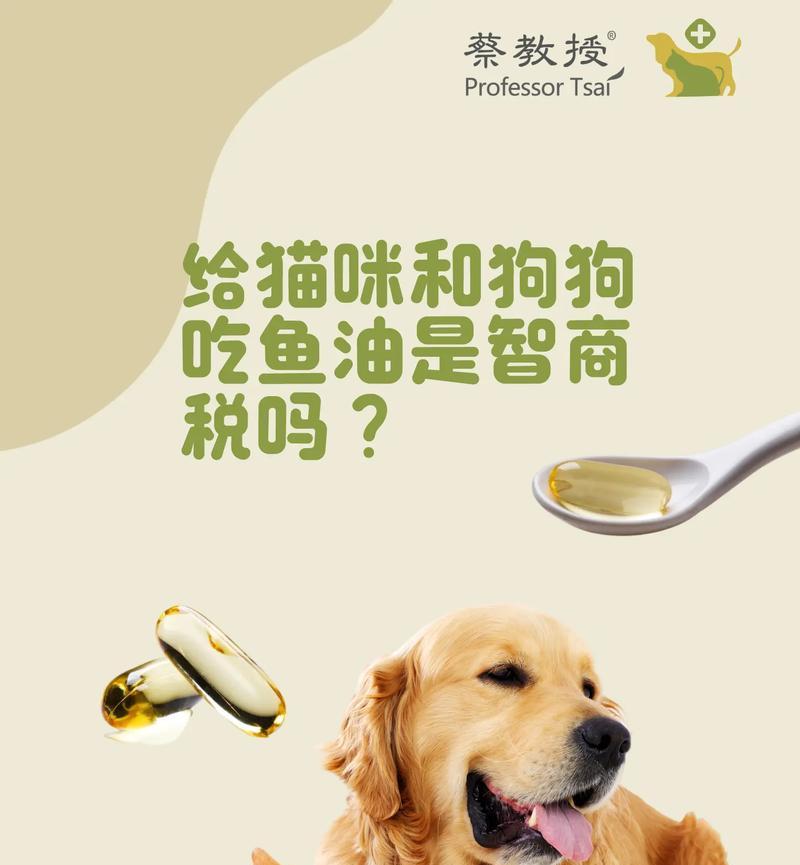 狗吃了猫粮会有什么影响？狗吃了猫粮应该怎么办？