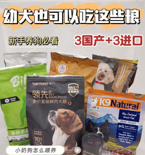 出售狗崽幼犬粮需要办理哪些手续？幼犬粮的销售流程是什么？