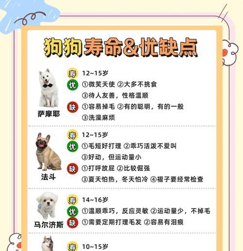 小型犬伴侣狗有哪些？选择时应注意什么？