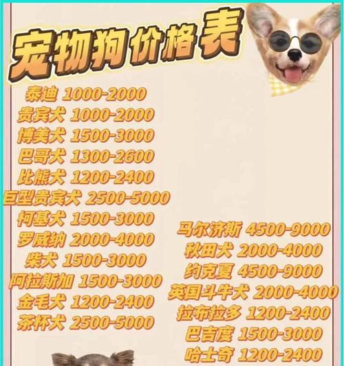 柯桥柴犬售价多少？现在哪里可以买到？