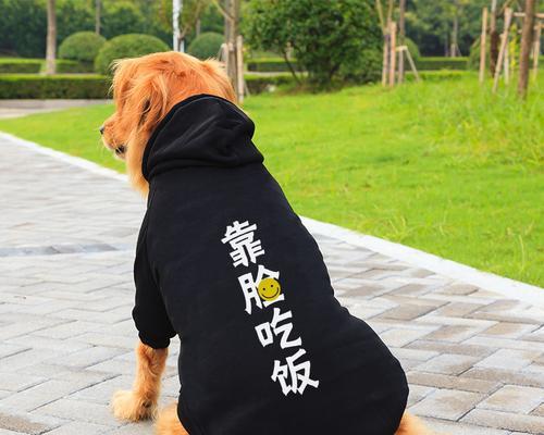 东北适合大型犬的宠物衣服有哪些？如何选择？