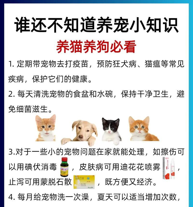 狗也爱吃猫粮怎么办？猫粮对狗的健康有影响吗？