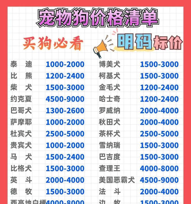 蔚县养泰迪狗多少钱一只？蔚县地区泰迪犬的售价是多少？