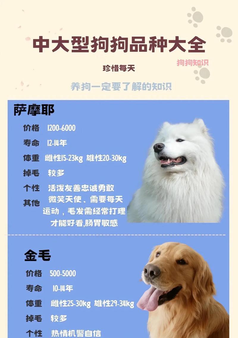 衢州宠物店有哪些大型犬出售？如何选择合适的大型犬？