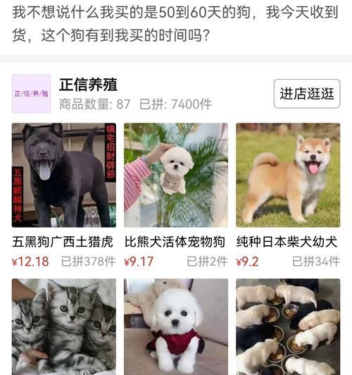 猫狗配粮导致旺财怎么办？如何调整饮食？