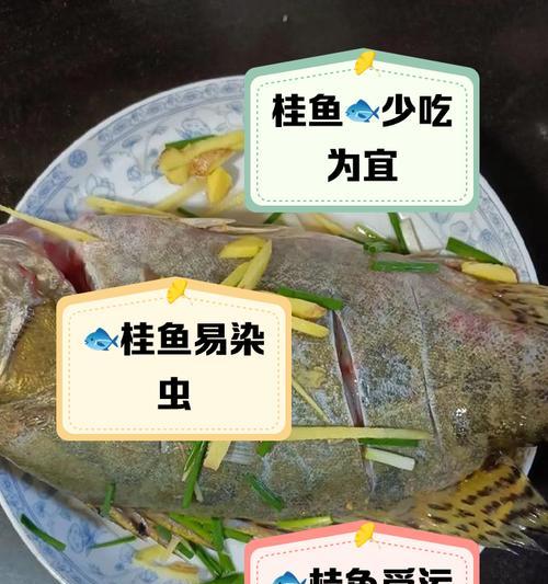 养丁桂鱼苗吃什么食物好？怎样确保营养均衡？