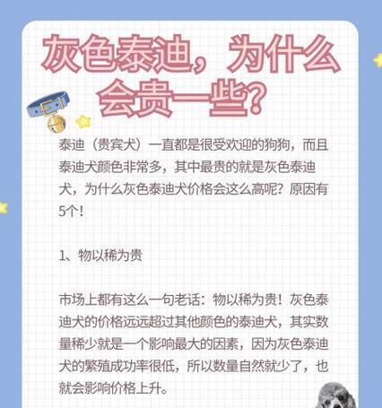 普通泰迪犬的市场价格是多少？