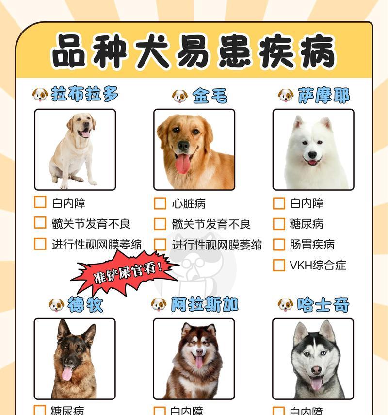 有哪些既便宜又易养活的大型犬品种？