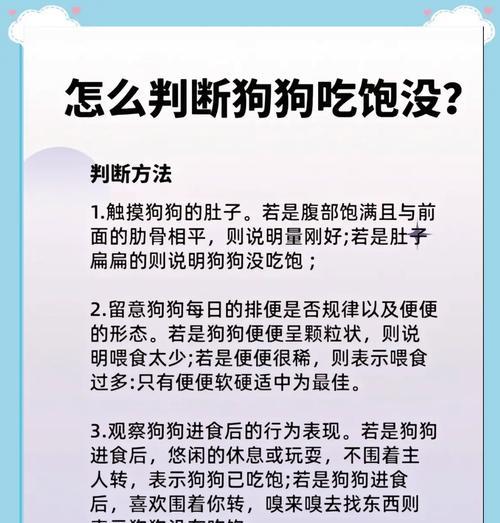 狗偷吃自动喂食猫粮会有什么后果？如何防止狗偷吃猫粮？