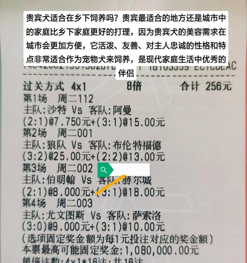 饲养泰迪犬的费用大概多少？日常开销如何？