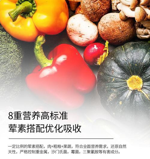 奶狗何时换粮及适合的食品是什么？