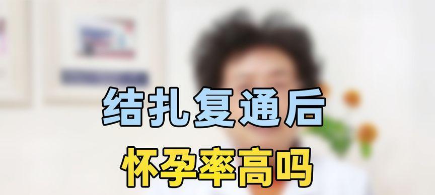 小泰迪狗结扎一次需要多少钱？结扎手术的注意事项有哪些？