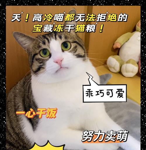 猫边拉边吃猫粮的行为是否正常？背后的原因是什么？