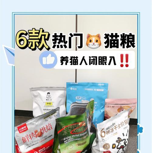 茶杯犬泰迪的理想体重是多少斤？如何维持其健康体重？