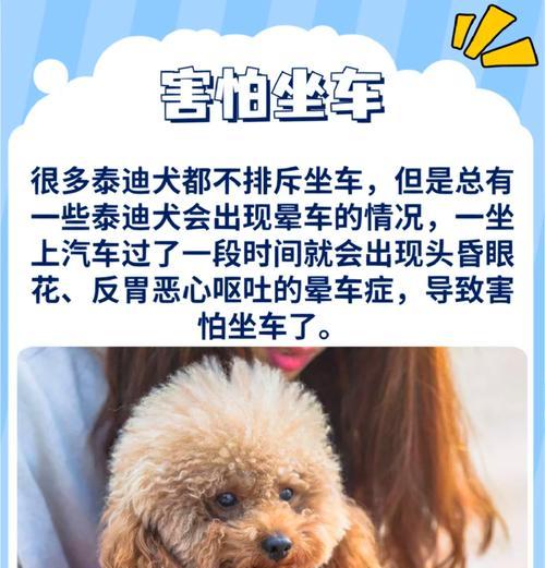 7斤泰迪犬的年龄如何估算？