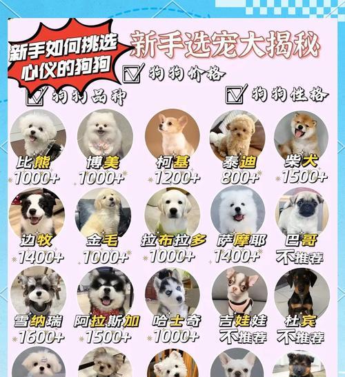 哪些大型犬品种适合与孩子一起成长？选择时应注意什么？