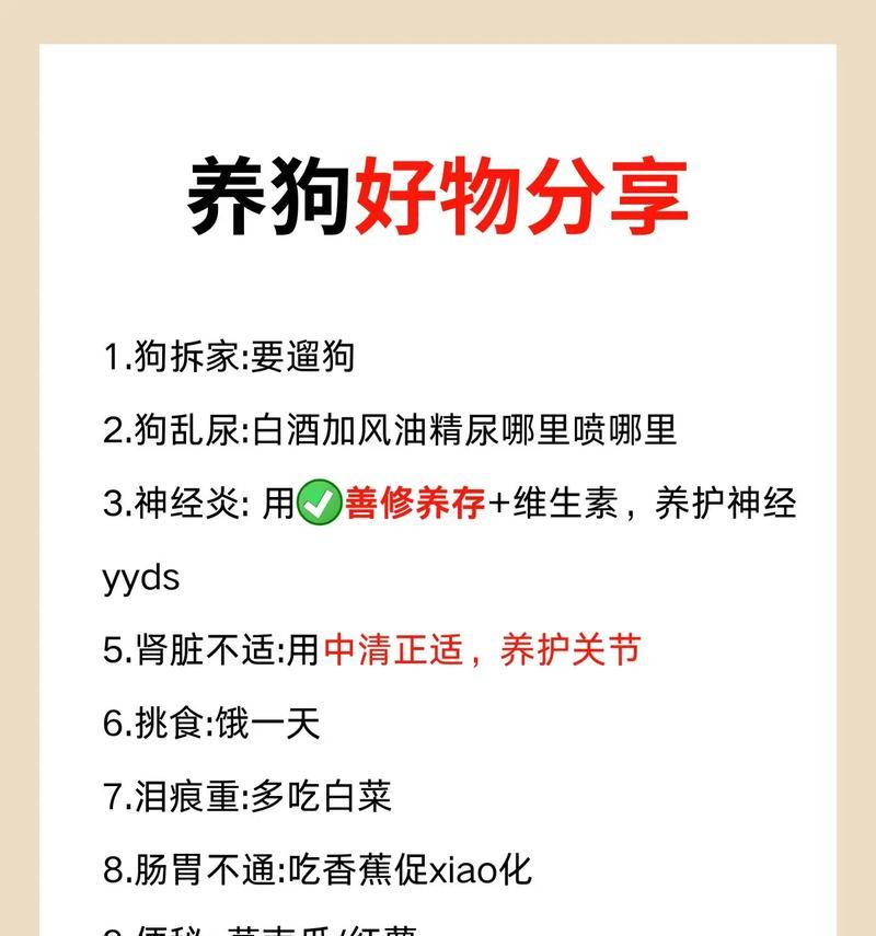 狗能吃草龟粮吗？如何正确喂食草龟粮给狗？