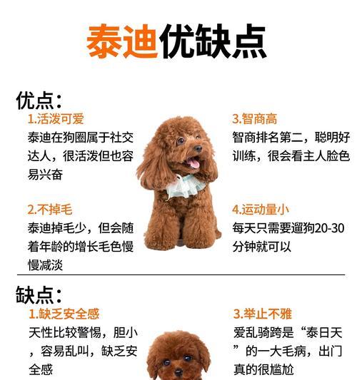 泰迪幼犬的售价通常多少？