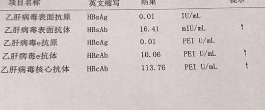 小泰迪软骨病能治愈吗？治疗费用大概是多少？