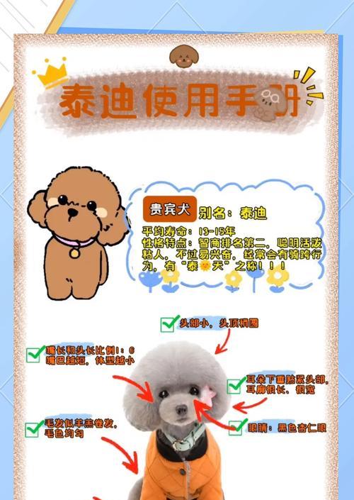 泰迪幼犬羊奶粉的正确喂食量是多少？