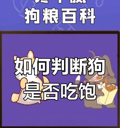 柴犬五个月大时应该吃多少粮食？如何判断喂食量是否合适？