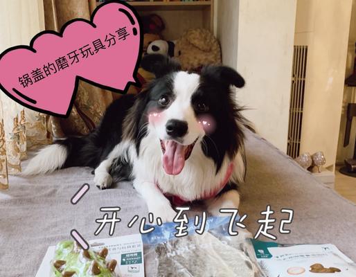 大型犬睡眠玩具有哪些？如何选择合适的玩具？