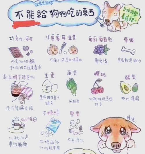 刚满月柴犬的正常体重是多少？如何确保柴犬健康成长？